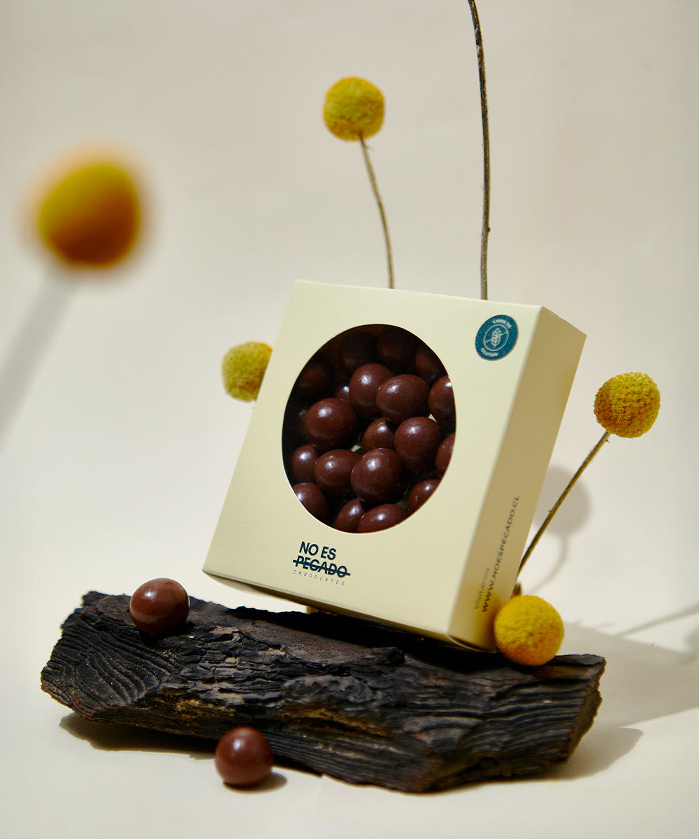 Avellanas Bañadas en Chocolate de Leche 100 g.