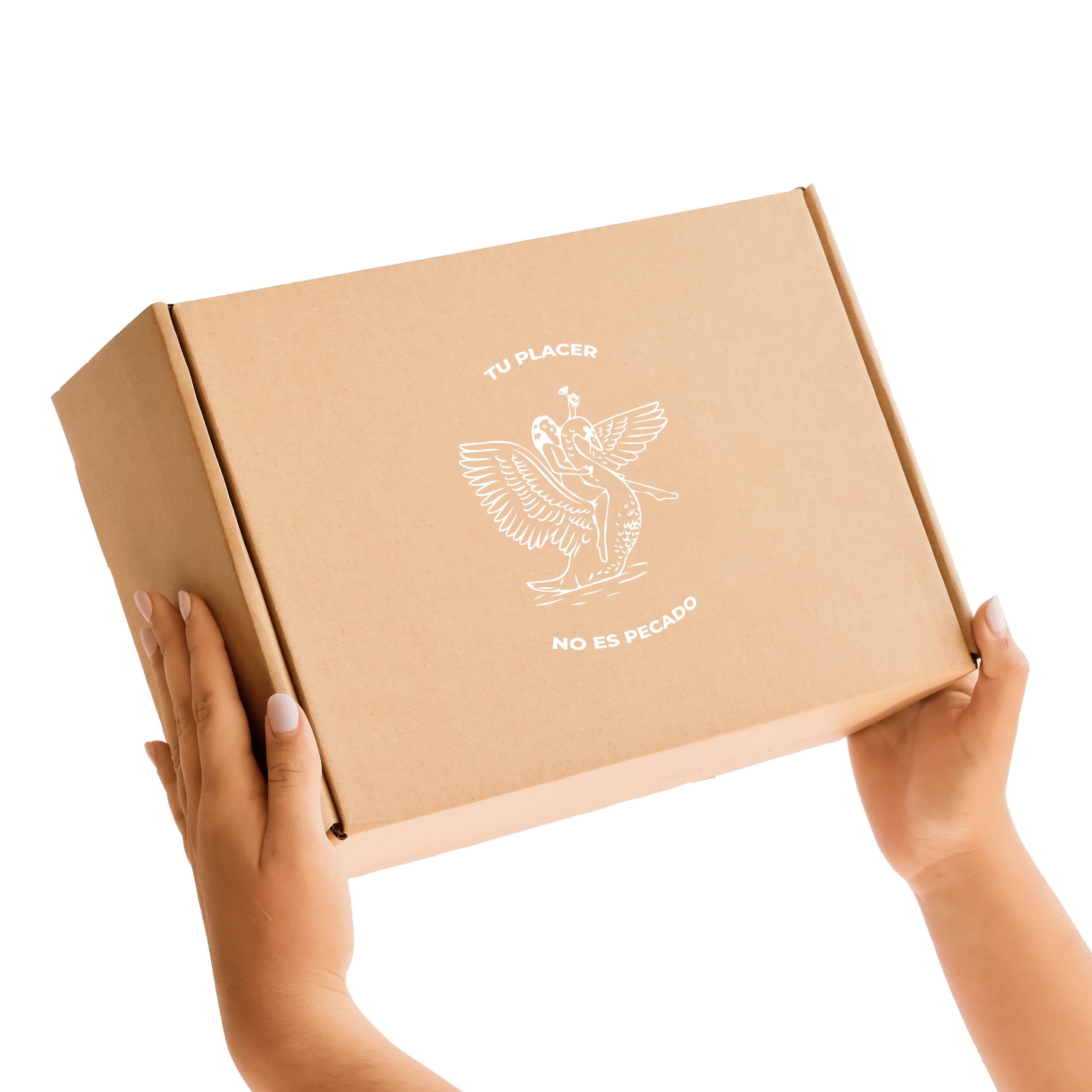 Caja de Regalo - Chocolates Leche 374 gr