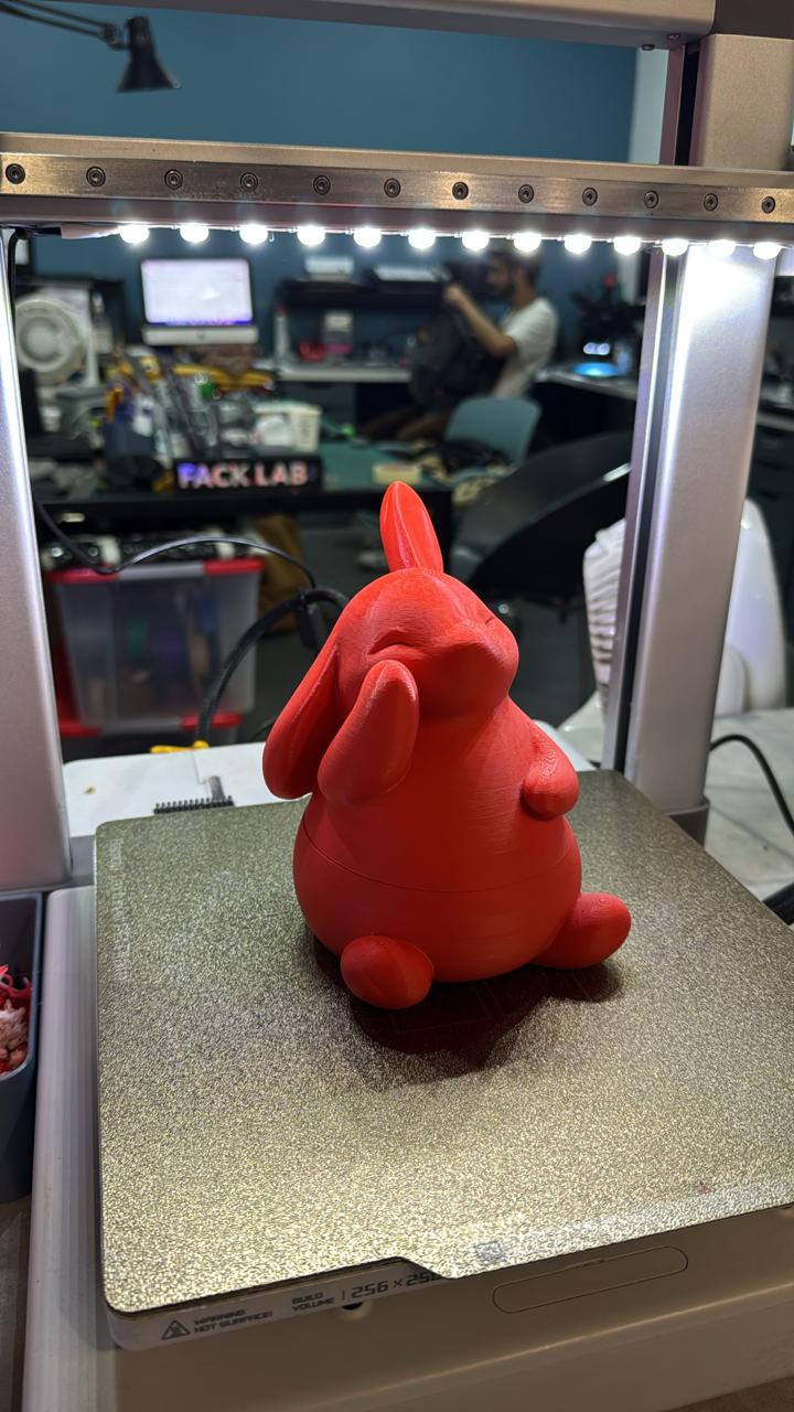 Conejo de Pascua con chocolates personalizados | No es Pecado